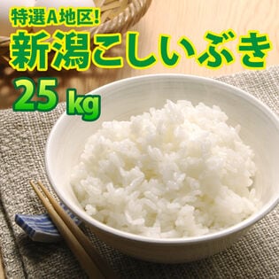 【25kg (5kg×5袋) 】令和8年産 大人気 新潟県上越産こしいぶき