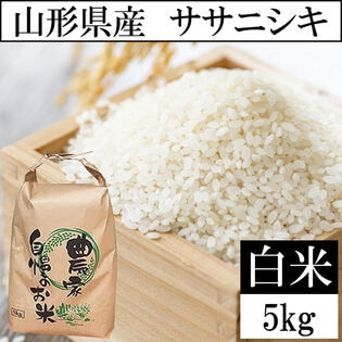 【5kg】令和8年産 山形県産 ササニシキ 精米 当日精米