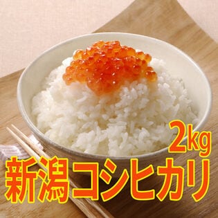 【2kg×1袋】令和8年産 特選 新潟県産コシヒカリ