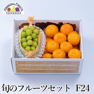 【予約受付】10月下旬~順次出荷 旬のフルーツセットF24（シャインマスカット・蜜柑）