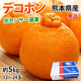 【予約受付】12/21~順次出荷【約5kg】デコポン 光センサー選果 熊本県産 DEKOPON