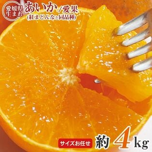 【予約受付】11/25~順次出荷【約4kg(サイズお任せ)】あいか・紅まどんな同等品種 (ご家庭用)