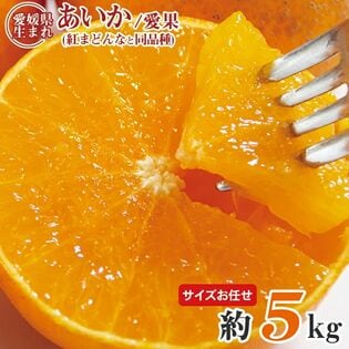【予約受付】11/25~順次出荷【約5kg(サイズお任せ)】あいか・紅まどんな同等品種 (ご家庭用)