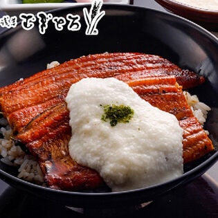 「浅草むぎとろ」 うなとろ2食セット