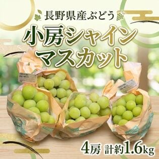 【計約1.6kg(4房)】長野県産シャインマスカット
