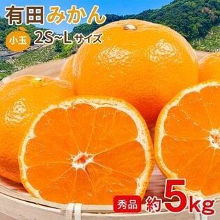 【予約受付】11/5~順次出荷【約5kg/2S~Lサイズ】《秀品》和歌山県産 有田みかん