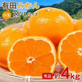 【予約受付】11/5~順次出荷【約4kg/2S~Lサイズ】《秀品》和歌山県産 有田みかん