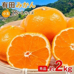 【予約受付】11/5~順次出荷【約2kg/2S~Lサイズ】《秀品》和歌山県産 有田みかん
