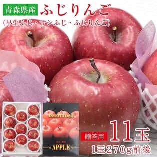 ふじりんご【11玉】青森早生ふじ・サンふじ・ふじりんご  (ギフト 贈答用)