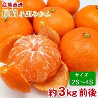 【予約受付】11/5~順次出荷【約3kg/2S~4Sサイズ】長崎小みかん　小玉温州みかん(傷あり)