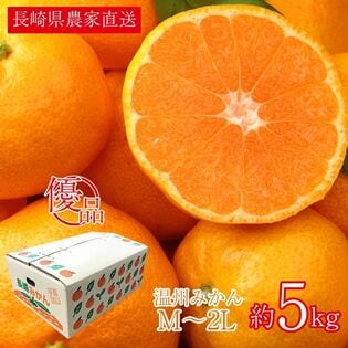 【予約受付】11/20~順次出荷【約5kg/M~2Lサイズ】長崎温州みかん(優品)ご家庭用
