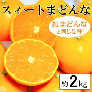 【予約受付】11/25~順次出荷【約2kg】愛媛県産 スイートまどんな(ご家庭用・傷あり)