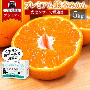 【5kg】プレミアム熊本みかん