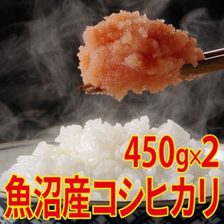【450g×2袋】令和8年産 新米  魚沼十日町産コシヒカリ