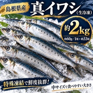 【約2kg/1尾約60g×約33尾】島根県産 真いわし