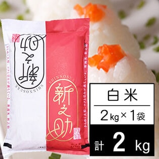 【2kg】 令和8年産 新潟県中越産 新之助白米2kgx1袋