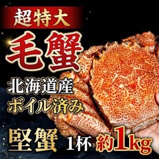 【  1杯 約1kg】超特大「毛蟹」 北海道産 ボイル済み