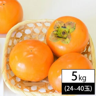 【5kg(24-40玉入り)】山形県庄内産 無選別 庄内柿 ※種なし