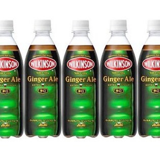 ウィルキンソン ジンジャエールPET