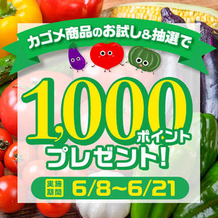 1000ポイント