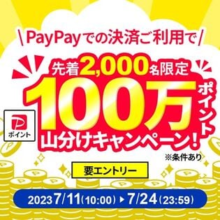 先着2000名限定！PayPay決済で100万円相当山分けキャンペーン！エントリーページ