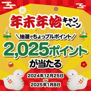 2024→2025 年末年始キャンペーン エントリーページ