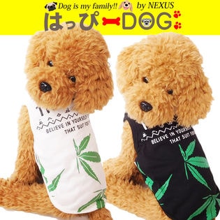 ドッグウェア　プリントが涼しげで可愛い新作タンクトップです。