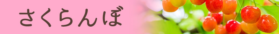 さくらんぼ