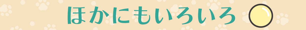 ほかにもいろいろ