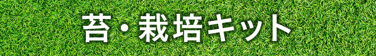 苔・栽培キット