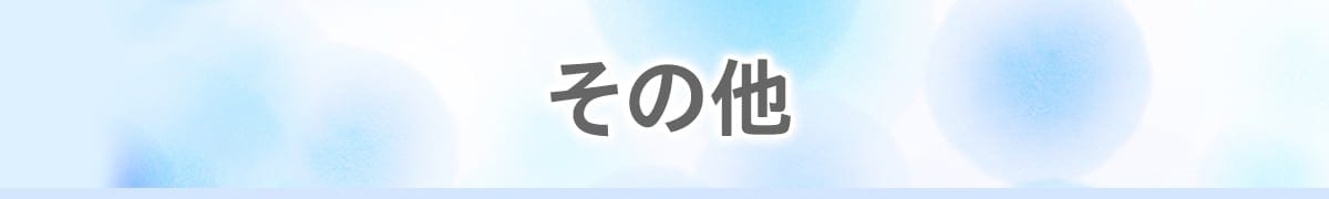 その他