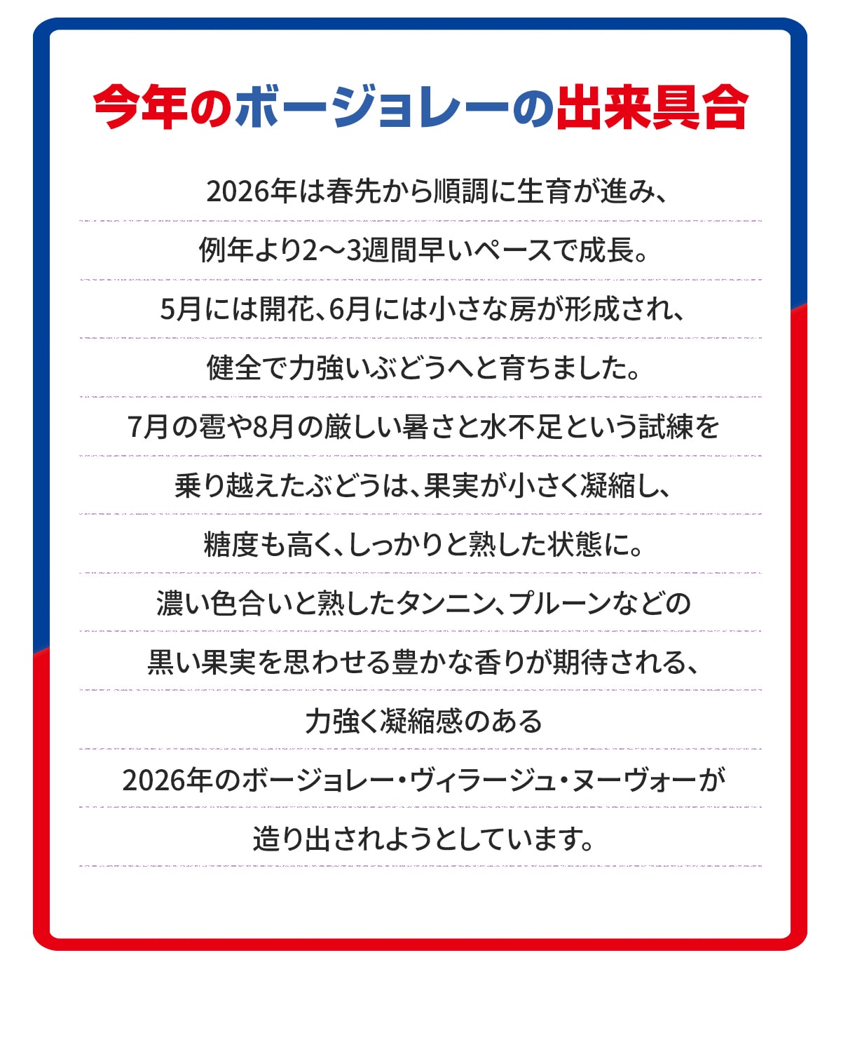 ボージョレー・ヌーヴォー特集