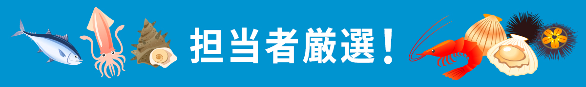 担当者厳選！