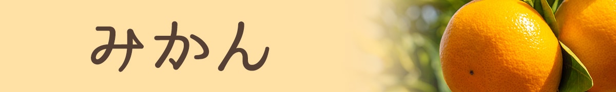 みかん