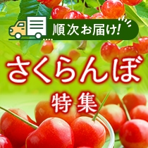 さくらんぼ特集