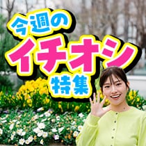 厳選週替わり！今週のイチオシ特集　CM放送中