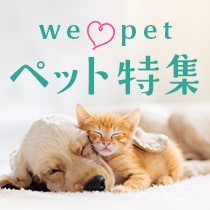 ペット特集