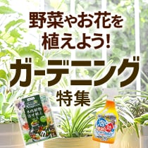 ガーデニング特集