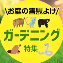 ガーデニング特集
