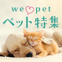ペット特集