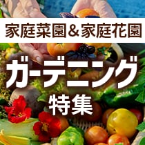 ガーデニング特集