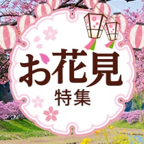 お花見特集
