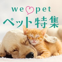 ペット特集