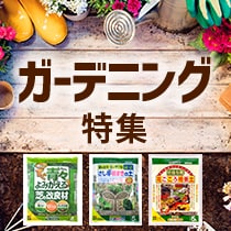 ガーデニング特集