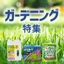 ガーデニング特集