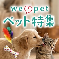 ペット特集
