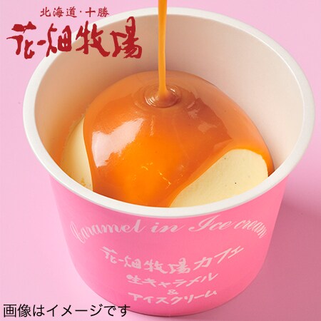 アイスクリーム2L&キャラメルソースを税込・送料込でお試し|サンプル