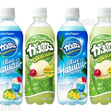 がぶ飲み メロンクリームソーダ500mlPET/ブルーハワイ500mlPET 2種計48