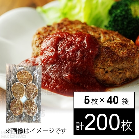 40袋】 大豆ミートハンバーグ 60g×5枚を税込・送料込でお試し