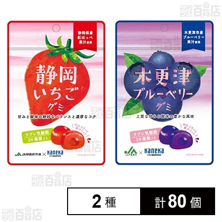 ラブレ乳酸菌入り 木更津ブルーベリーグミ / 静岡いちごグミを税込